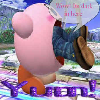 -_-' Oh Kirby...