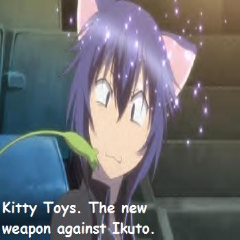 Kitty Toys