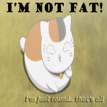 Im not fat!