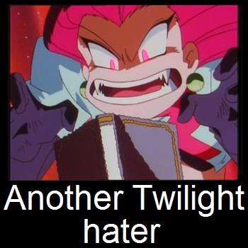 Twilight, you either love it, or you hate it.