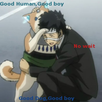 Good Human or Good dog?