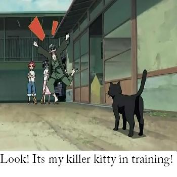 Killer Kitty!