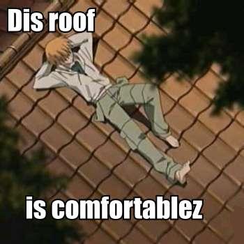 Comfortable Roof