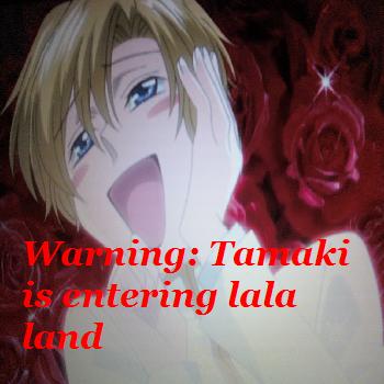 Lala Land Warning