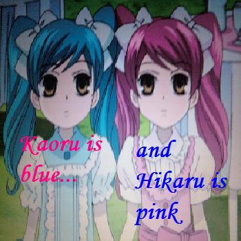 Kaoru is Blue and Hikaru is Pink
