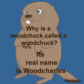 Woodcharles