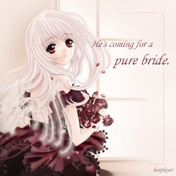 Pure Bride