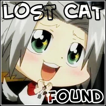 Lost Cat Found