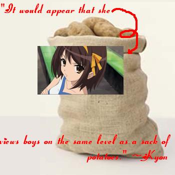 To haruhi, boys are...