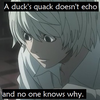 Duck's quack