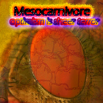 Mesocarnivore
