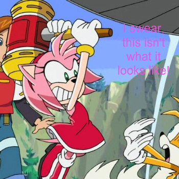 Funny Amy Rose
