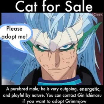 For sale by Gin