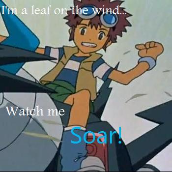 Watch Me Soar