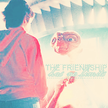The Friendship