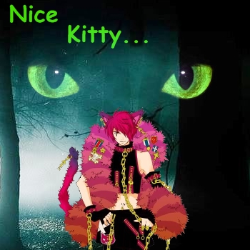 Nice Kitty...