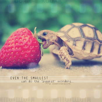 even the smallest