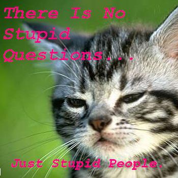 Stupid Questions