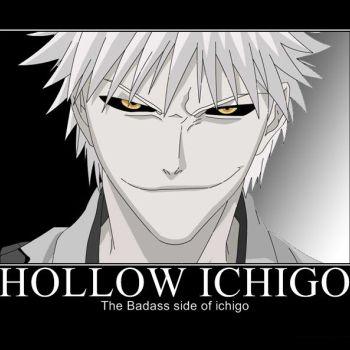 Hollow Ichigo