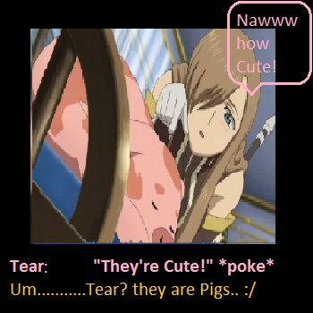 Pigs are CUTE!