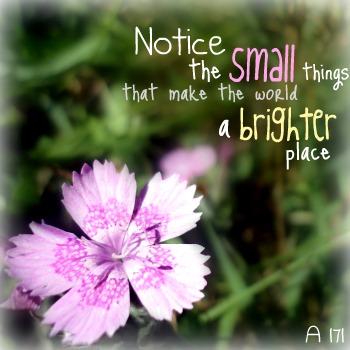 . small things