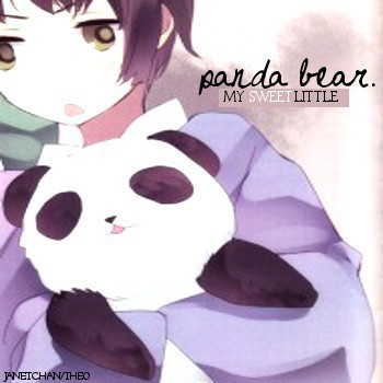 [panda bear.]