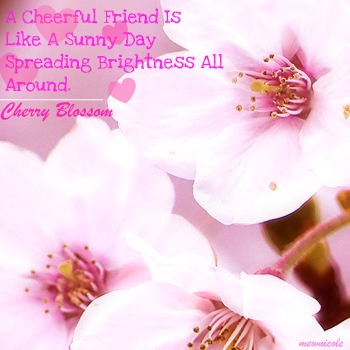 Cherry Blossom Friend