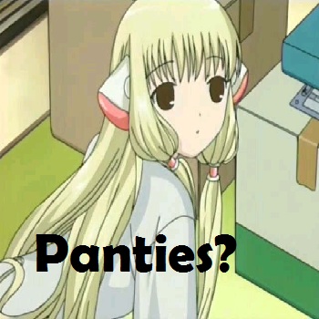 Panties?