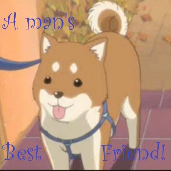 A man's best friend