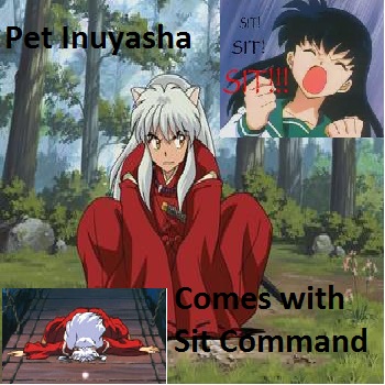 Pet Inuyasha 2