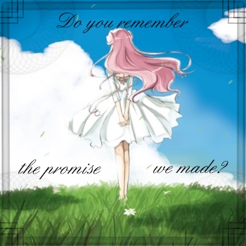 The Promise We Made